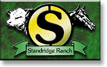 Standridge Circle S Ranch